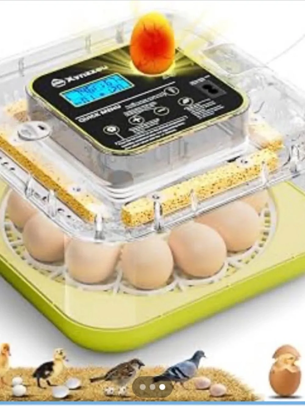Compact Green Egg Incubator for 12 eggs with Built-in Turbine Fan